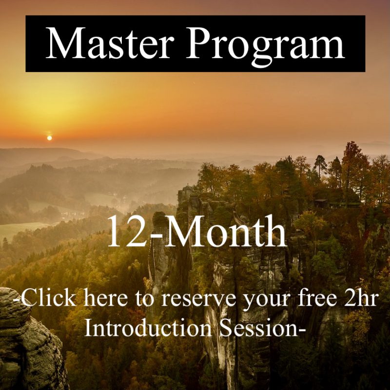 12 - Month Master Program, Transformational Life Coaching with Manifesting Consciousness